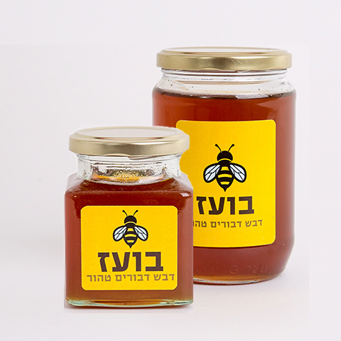 שתי צנצנות